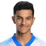 N. Saadi