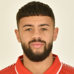 P. Fernandes