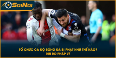 Tổ Chức Cá Độ Bóng Đá Bị Phạt Như Thế Nào? Rủi Ro Pháp Lý