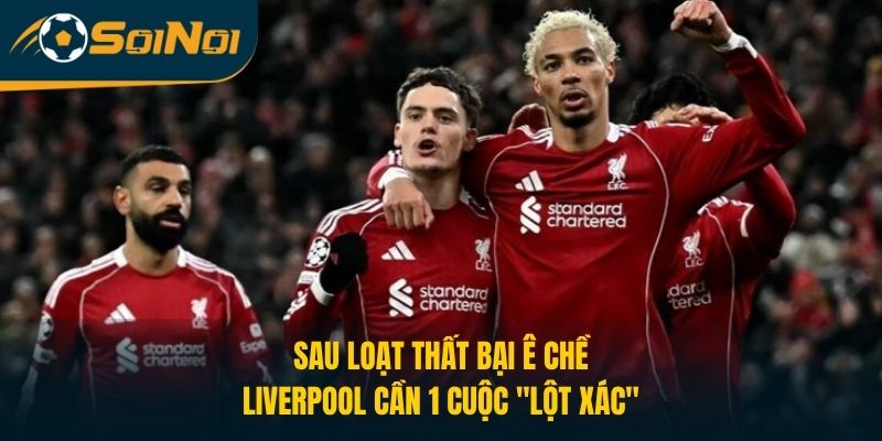 Sau Loạt Thất Bại Ê Chề, Liverpool Cần 1 Cuộc “Lột Xác”