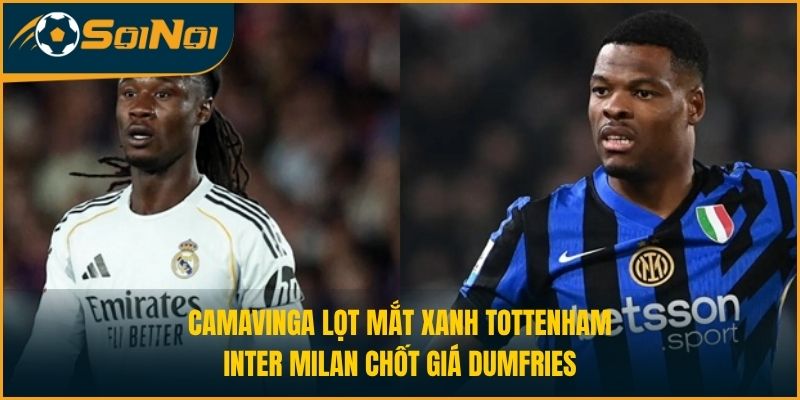 Camavinga Lọt Mắt Xanh Tottenham, Inter Milan Chốt Giá Dumfries