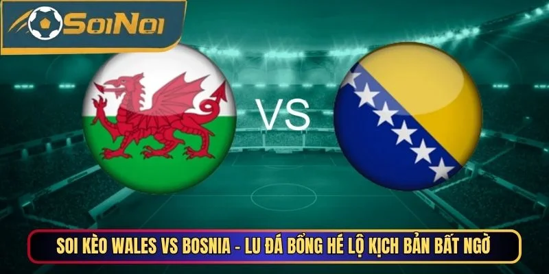 Wales vs Bosnia