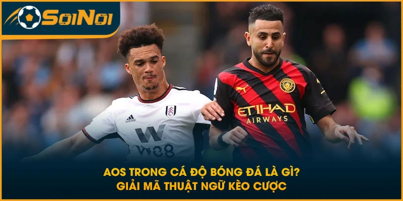 AOS Trong Cá Độ Bóng Đá Là Gì? Giải Mã Thuật Ngữ Kèo Cược