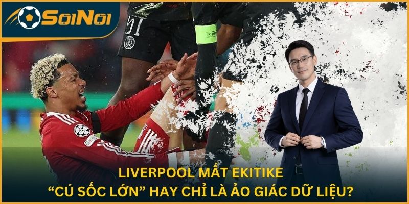 Liverpool Mất Ekitike: “Cú Sốc Lớn” Hay Chỉ Là Ảo Giác Dữ Liệu?