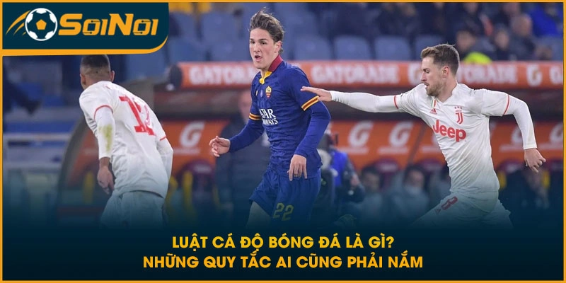 Luật Cá Độ Bóng Đá Là Gì? Những Quy Tắc Ai Cũng Phải Nắm