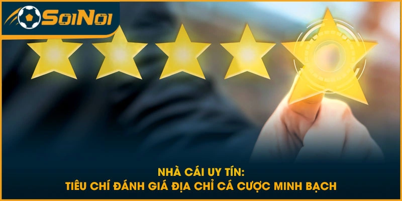 Hệ thống hỗ trợ khách hàng 24/7 của nhà cái uy tín đảm bảo phản hồi nhanh chóng