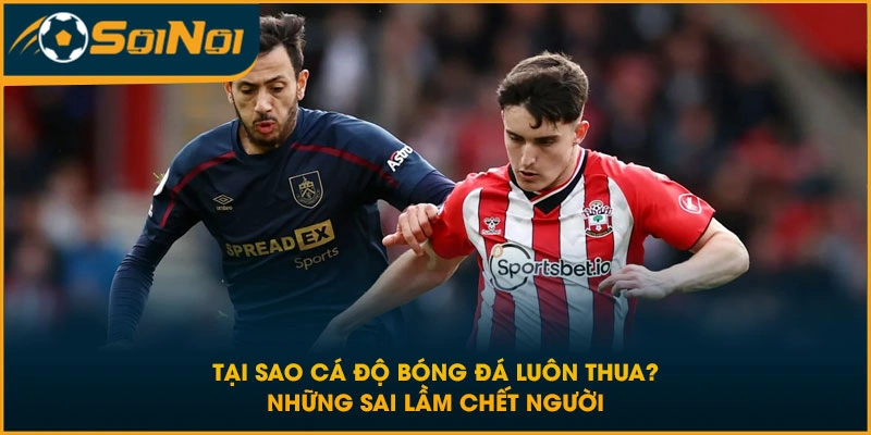 Tại Sao Cá Độ Bóng Đá Luôn Thua? Những Sai Lầm Chết Người