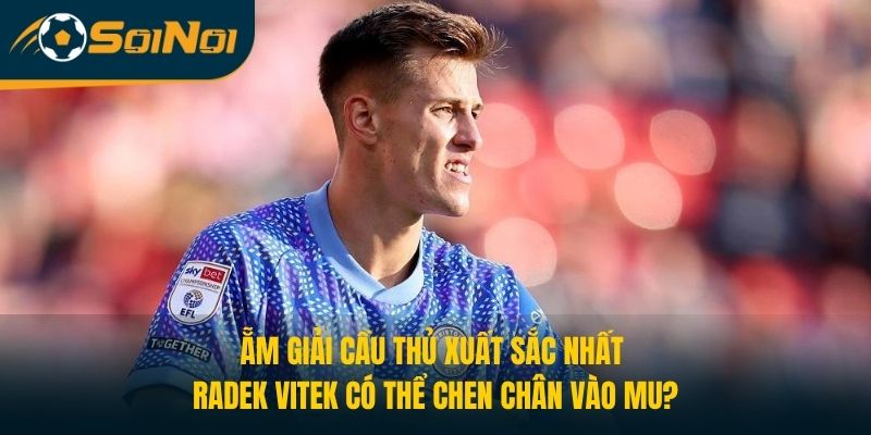 Ẵm Giải Cầu Thủ Xuất Sắc, Radek Vitek Có Thể Chen Chân Vào MU?