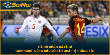 Cá độ bóng đá là gì giúp người dùng hiểu rõ bản chất hệ thống kèo