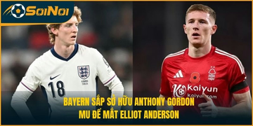 Bayern Sắp Sở Hữu Anthony Gordon, MU Để Mắt Elliot Anderson