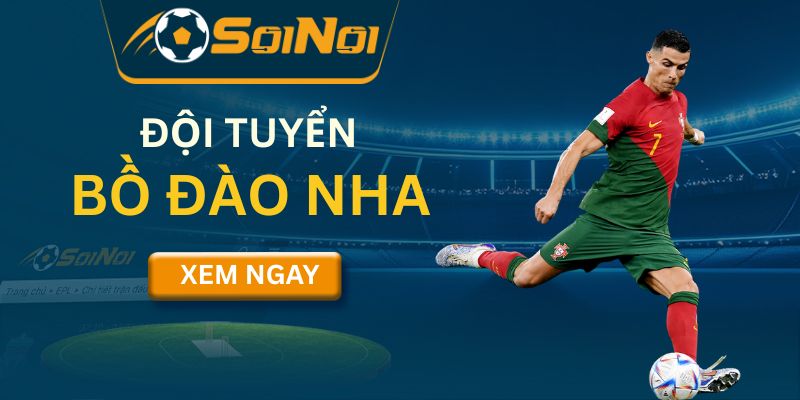 đội tuyển Bồ Đào Nha