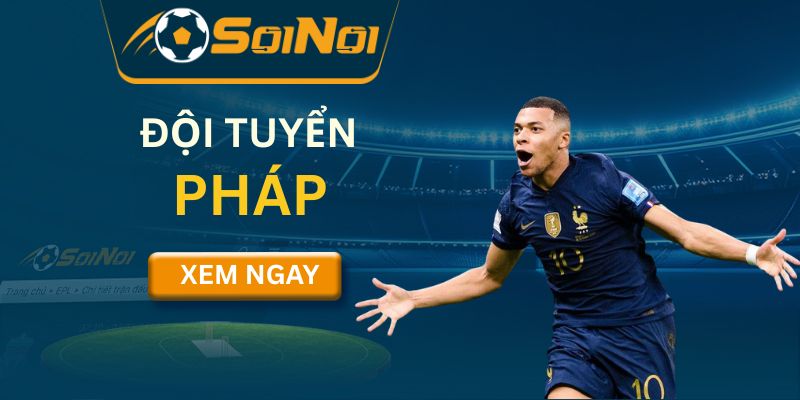 Đội tuyển Pháp