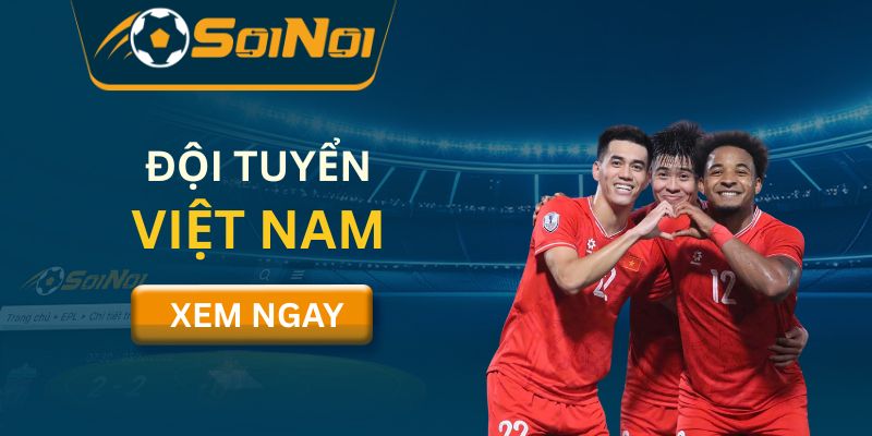 đội tuyển Việt Nam