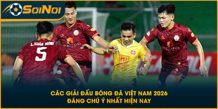 Các Giải Đấu Bóng Đá Việt Nam 2026 Đáng Chú Ý Nhất Hiện Nay