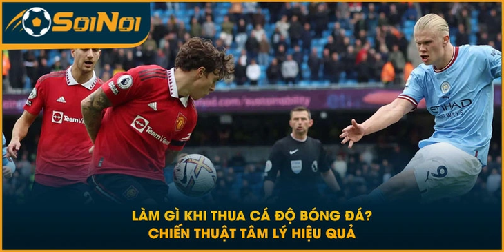 Làm Gì Khi Thua Cá Độ Bóng Đá? Chiến Thuật Tâm Lý Hiệu Quả