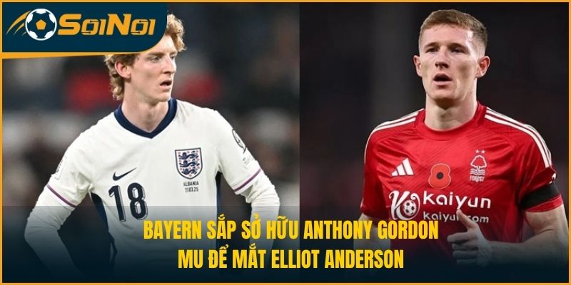 Bayern Sắp Sở Hữu Anthony Gordon, MU Để Mắt Elliot Anderson