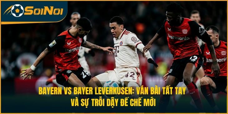Bayern vs Bayer Leverkusen: Ván Bài Tất Tay Và Sự Trỗi Dậy Đế Chế Mới