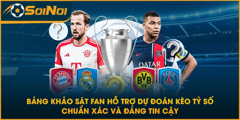 Bảng khảo sát fan hỗ trợ dự đoán kèo tỷ số chuẩn xác và đáng tin cậy