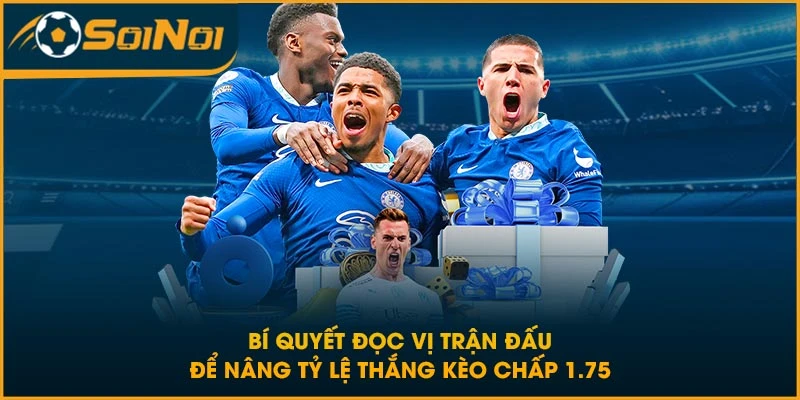 Bí quyết đọc vị trận đấu để nâng tỷ lệ thắng kèo chấp 1.75