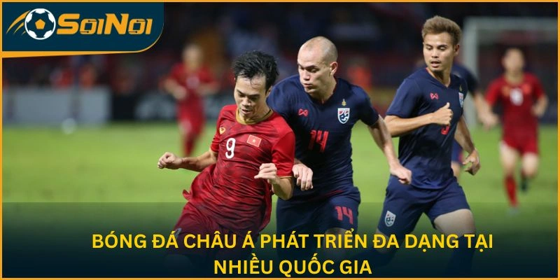Bóng đá châu Á phát triển đa dạng tại nhiều quốc gia