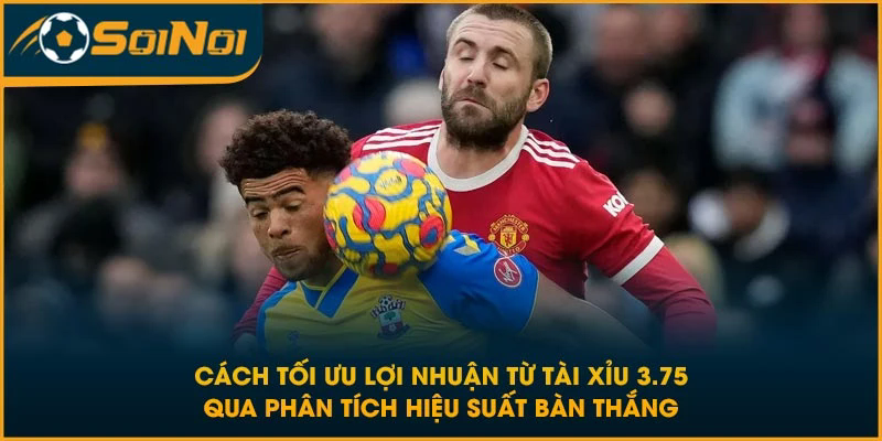 Cách tối ưu lợi nhuận từ tài xỉu 3.75 qua phân tích hiệu suất bàn thắng