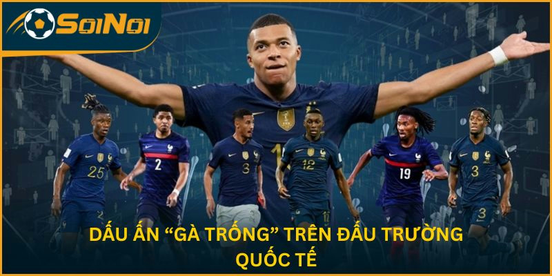 Dấu ấn “gà trống” trên đấu trường quốc tế