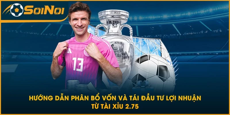 Hướng dẫn phân bổ vốn và tái đầu tư lợi nhuận từ tài xỉu 2.75