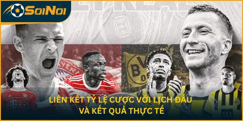 SoiNoi liên kết tỷ lệ cược với lịch đấu và kết quả thực tế