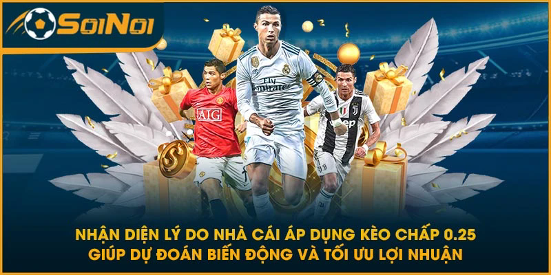 Nhận diện lý do nhà cái áp dụng kèo chấp 0.25 giúp dự đoán biến động và tối ưu lợi nhuận