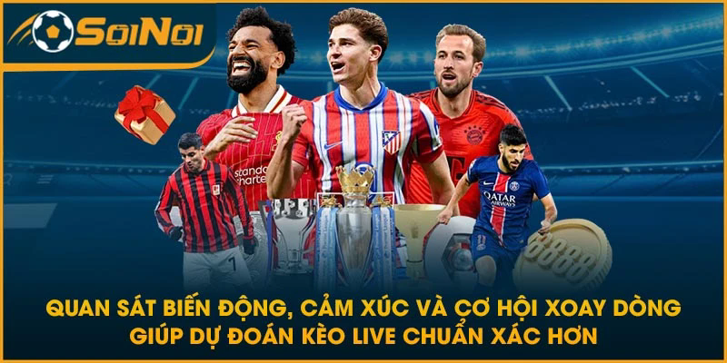 Quan sát biến động, cảm xúc và cơ hội xoay dòng giúp dự đoán kèo live chuẩn xác hơn