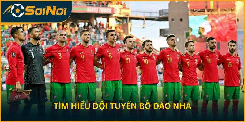Tìm hiểu đội tuyển Bồ Đào Nha
