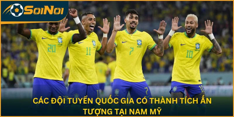Các đội tuyển quốc gia có thành tích ấn tượng tại Nam Mỹ