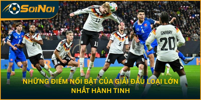 Những điểm nổi bật của giải đấu loại lớn nhất hành tinh