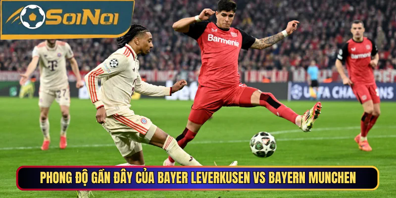 Phong độ gần đây của Bayer Leverkusen vs Bayern Munchen