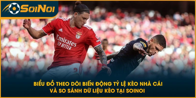 Biểu đồ theo dõi biến động tỷ lệ kèo nhà cái và so sánh dữ liệu kèo tại SoiNoi 