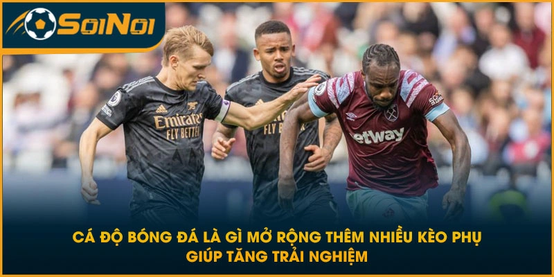 Cá độ bóng đá là gì mở rộng thêm nhiều kèo phụ giúp tăng trải nghiệm