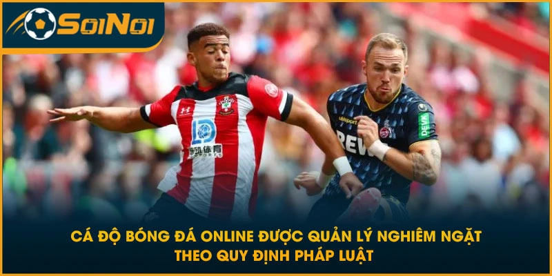 Cá độ bóng đá online được quản lý nghiêm ngặt theo quy định pháp luật 