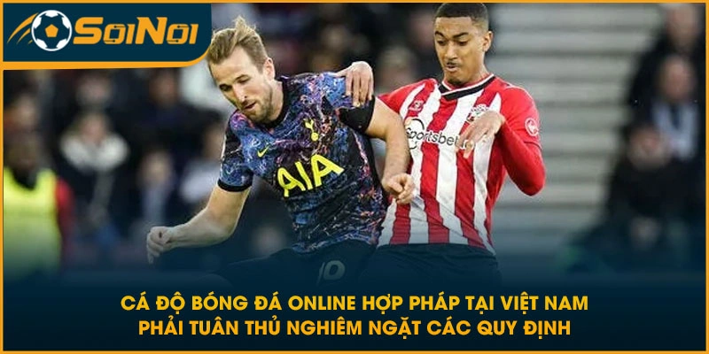 Cá độ bóng đá online hợp pháp tại Việt Nam phải tuân thủ nghiêm ngặt các quy định
