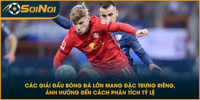 Các giải đấu bóng đá lớn mang đặc trưng riêng, ảnh hưởng đến cách phân tích tỷ lệ
