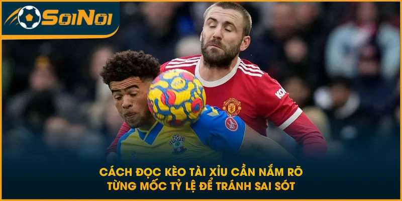 Cách đọc kèo tài xỉu cần nắm rõ từng mốc tỷ lệ để tránh sai sót