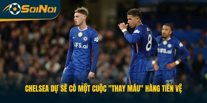Chelsea dự sẽ có một cuộc "thay máu" hàng tiền vệ