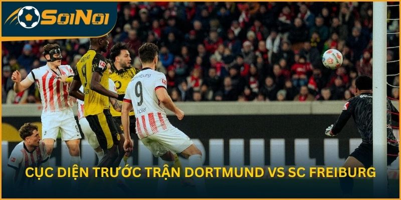 Cục diện trước trận Borussia Dortmund vs SC Freiburg