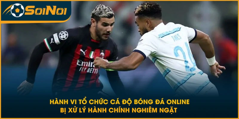 Hành vi tổ chức cá độ bóng đá online bị xử lý hành chính nghiêm ngặt 