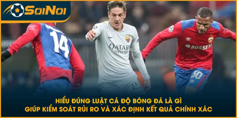 Hiểu đúng luật cá độ bóng đá là gì giúp kiểm soát rủi ro và xác định kết quả chính xác