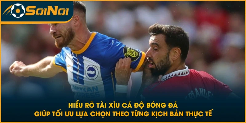Hiểu rõ tài xỉu cá độ bóng đá giúp tối ưu lựa chọn theo từng kịch bản thực tế