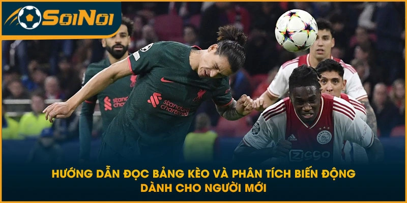 Hướng dẫn đọc bảng kèo và phân tích biến động dành cho người mới
