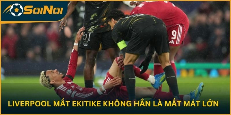 Liverpool mất Ekitike không hẳn là mất mát lớn
