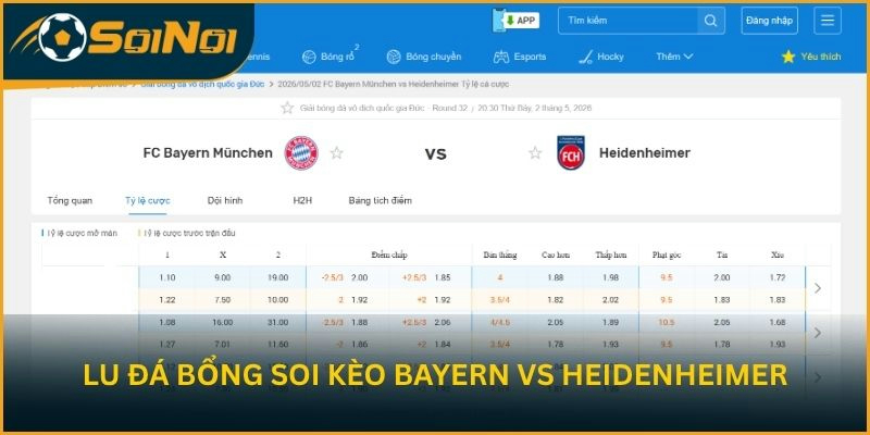 Lu Đá Bổng soi kèo trận đấu Bayern München vs Heidenheimer