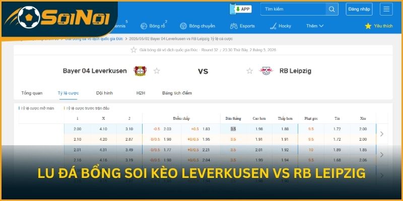 Lu Đá Bổng soi kèo trận đấu Leverkusen vs RB Leipzig