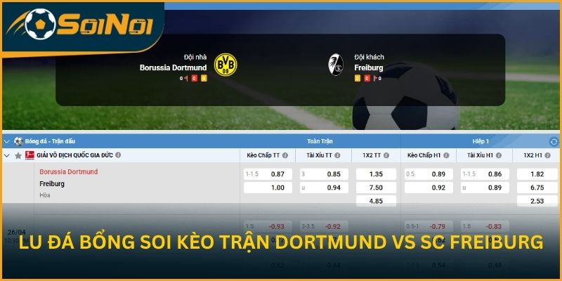 Lu Đá Bổng soi kèo trận đấu Borussia Dortmund vs SC Freiburg